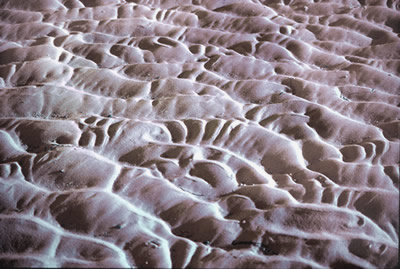 Tidal sand patterns, photo by Wayne Roberts