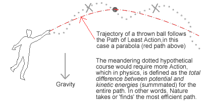 path of least action followed by a thrown ball
